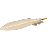 Medieval Calligraphy Quill Feather Pen
