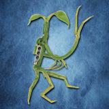 Picket Bowtruckle Pin