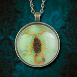 Scorpion Glow Pendant