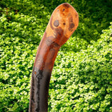 Genuine Irish Shillelagh Cane - Grip detail