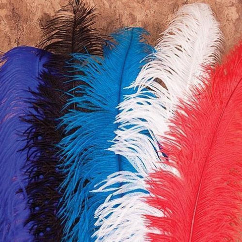 Feather Plumes - costumesandcollectibles