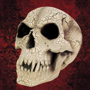 Vampire Skull - Costumes and Collectibles